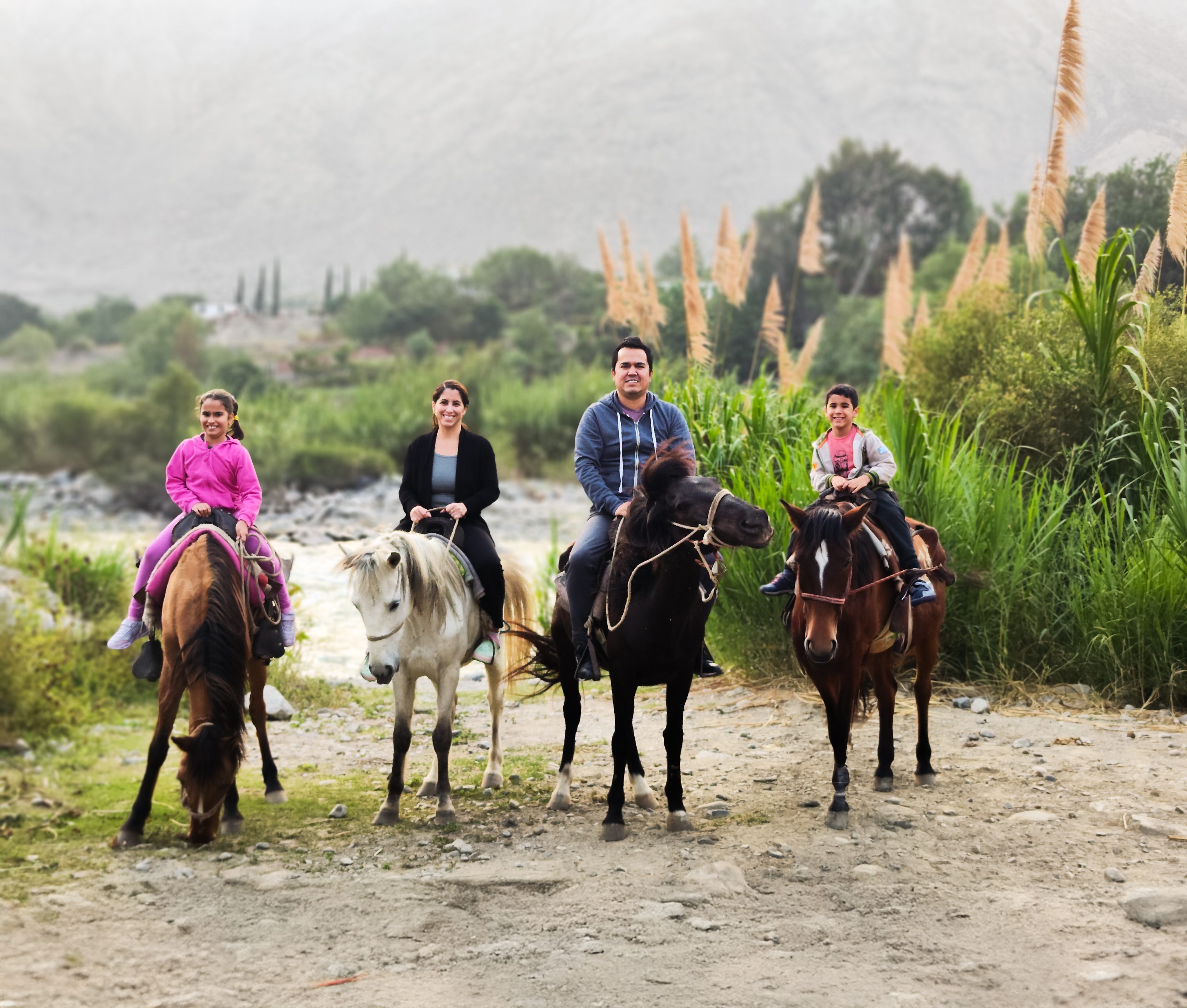 Paseo a caballo por el campo