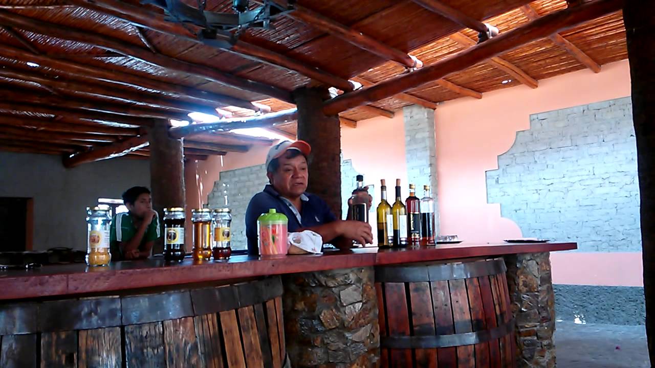 Cata de vino en el viñedo